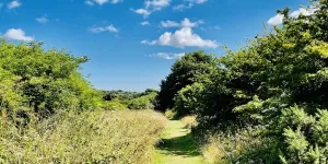 chacewater-campsite-image-4