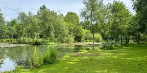 cobbleacre-park-campsite-image-2