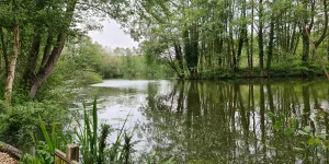 cobbleacre-park-campsite-image-3
