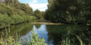 cobbleacre-park-campsite-image-5