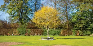 drummohr-campsite-image-10