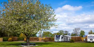 drummohr-campsite-image-3