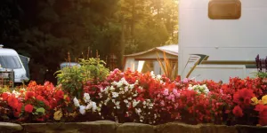 erwlon-campsite-image-5