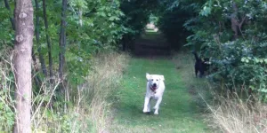 fen-farm-campsite-image-4