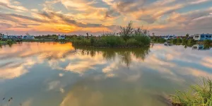 fields-end-water-campsite-image-4