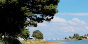fishery-creek-campsite-image-4