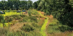 flaxton-meadows-campsite-image-8