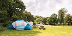 harford-bridge-campsite-image-2