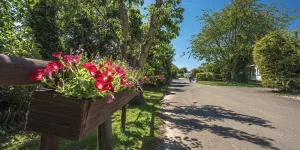 hawthorn-farm-campsite-image-2