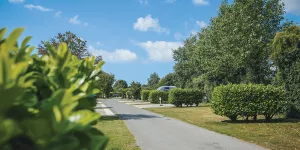 hawthorn-farm-campsite-image-4