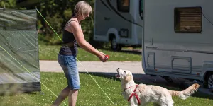 heligan-campsite-image-7