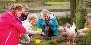 herding-hill-campsite-image-3