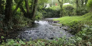 hidden-valley-campsite-image-4