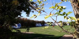 highfield-farm-campsite-image-5