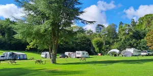 inside-park-campsite-image-4