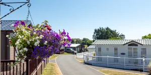landscove-holiday-park-campsite-image-5