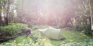 lee-valley-almost-wild-campsite-image-2