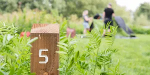 lee-valley-almost-wild-campsite-image-3
