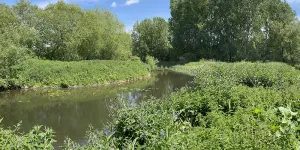 lee-valley-almost-wild-campsite-image-6