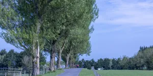 old-hall-campsite-image-1