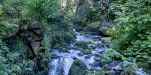 old-hall-campsite-image-2