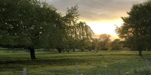 overbrook-campsite-image-4