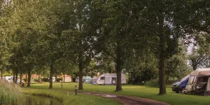 reedham-ferry-campsite-image