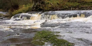 riverside-high-bentham-campsite-image-4