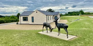 stretton-lakes-campsite-image-5