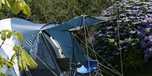 tehidy-campsite-image-1