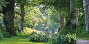 woodovis-campsite-image-1