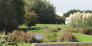 fairfields-farm 2