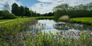 Appletree Holiday Park