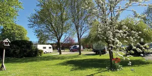 Briarfields