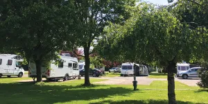 Briarfields