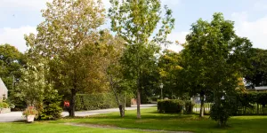 manor-wood-campsite-image-1