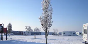 manor-wood-campsite-image-3