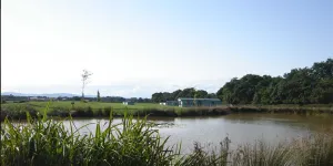 manor-wood-campsite-image-7