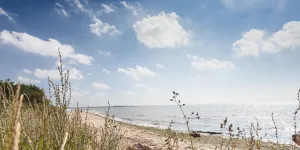 mersea-island-campsite-image