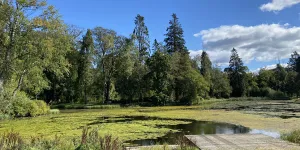 Moffat Manor