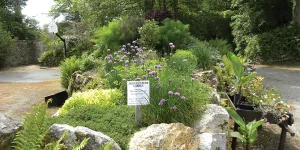 Trewan Hall