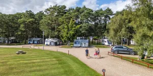 wareham-forest-campsite-image-1