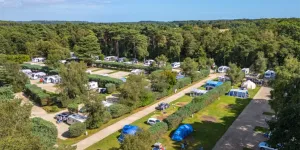 wareham-forest-campsite-image-10