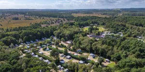 wareham-forest-campsite-image-11