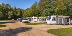 wareham-forest-campsite-image-3
