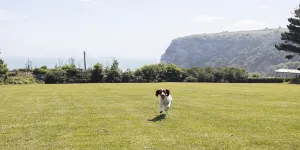 whitecliff-bay-campsite-image