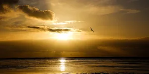 Hunstanton Camping and Glamping