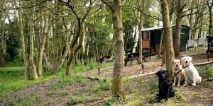 North Norfolk Camping & Glamping