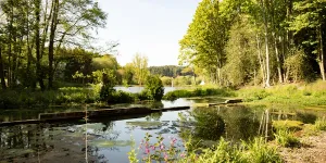North Norfolk Camping & Glamping