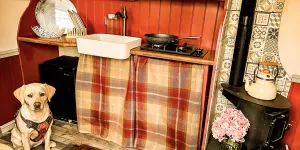 North Norfolk Camping & Glamping